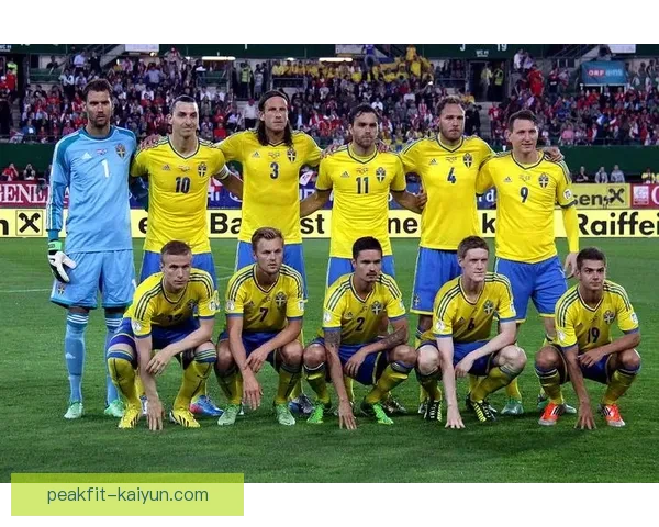 瑞典国家队最新大名单公布，阵容结构与近期表现走势清晰