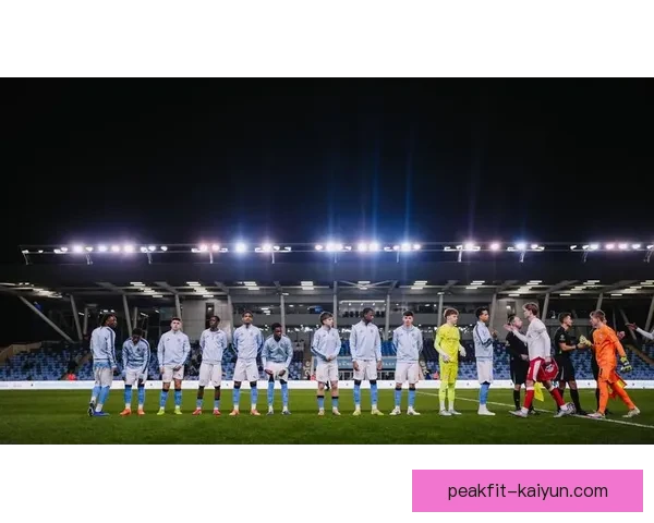 塔瓦雷斯职业轨迹：从本菲卡青训到英超赛场的稳步发展